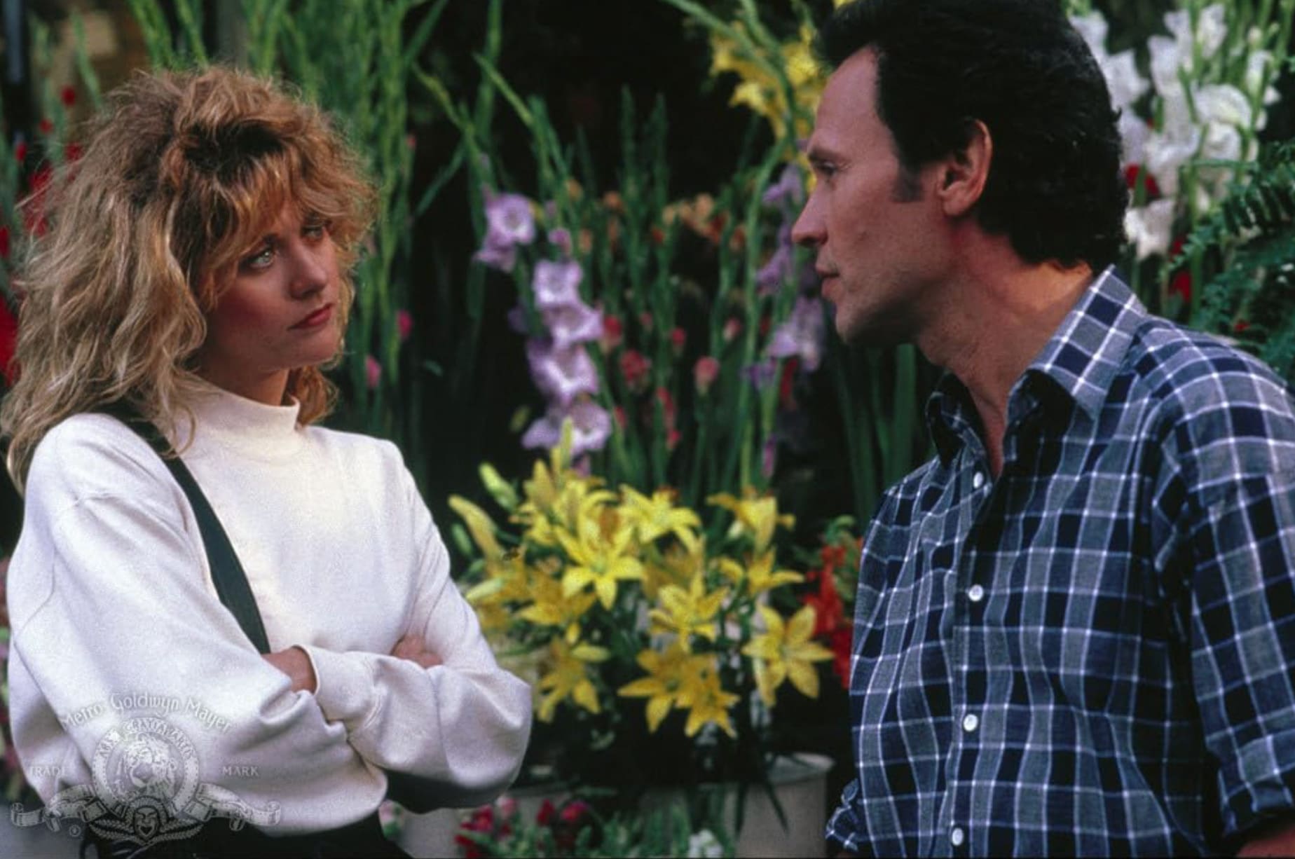 when harry met sally