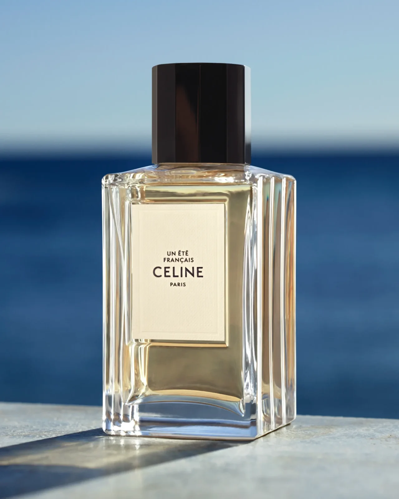 UN ETE FRANCAIS CELINE