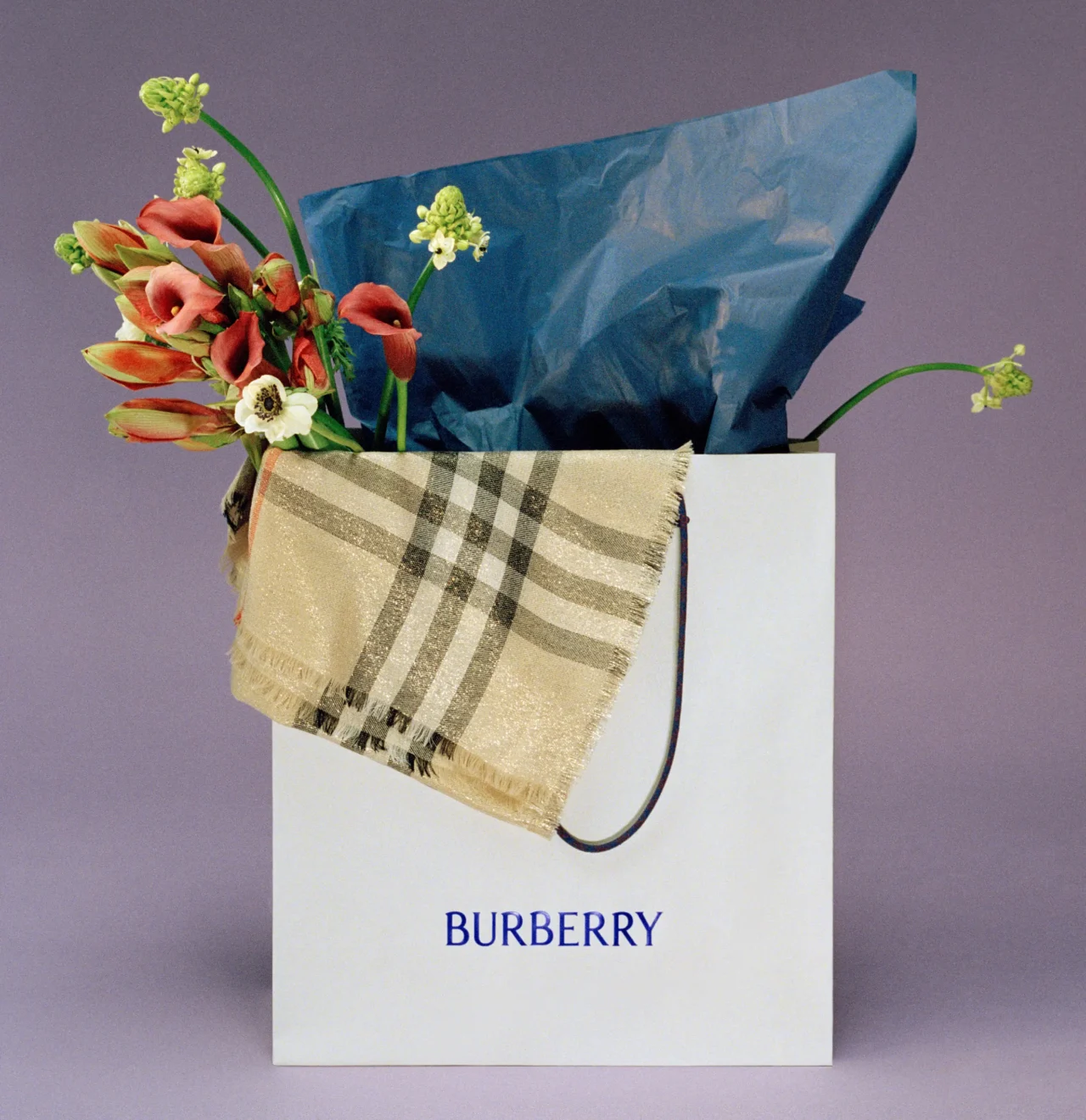 Burberry Mothers Day 2025 17