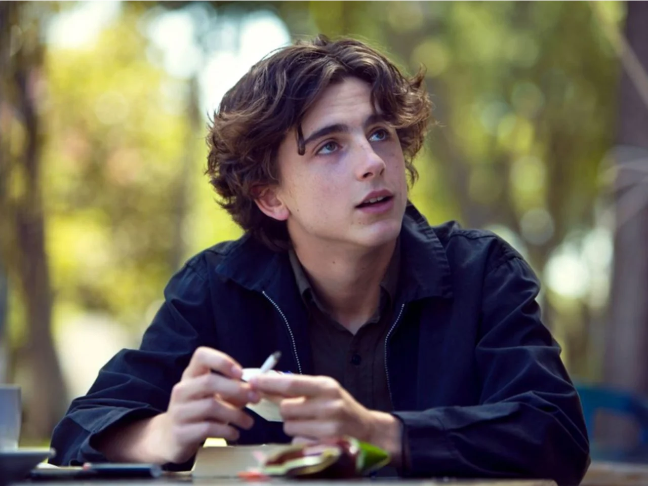 TIMOTHEE CHALAMET LADYBIRD