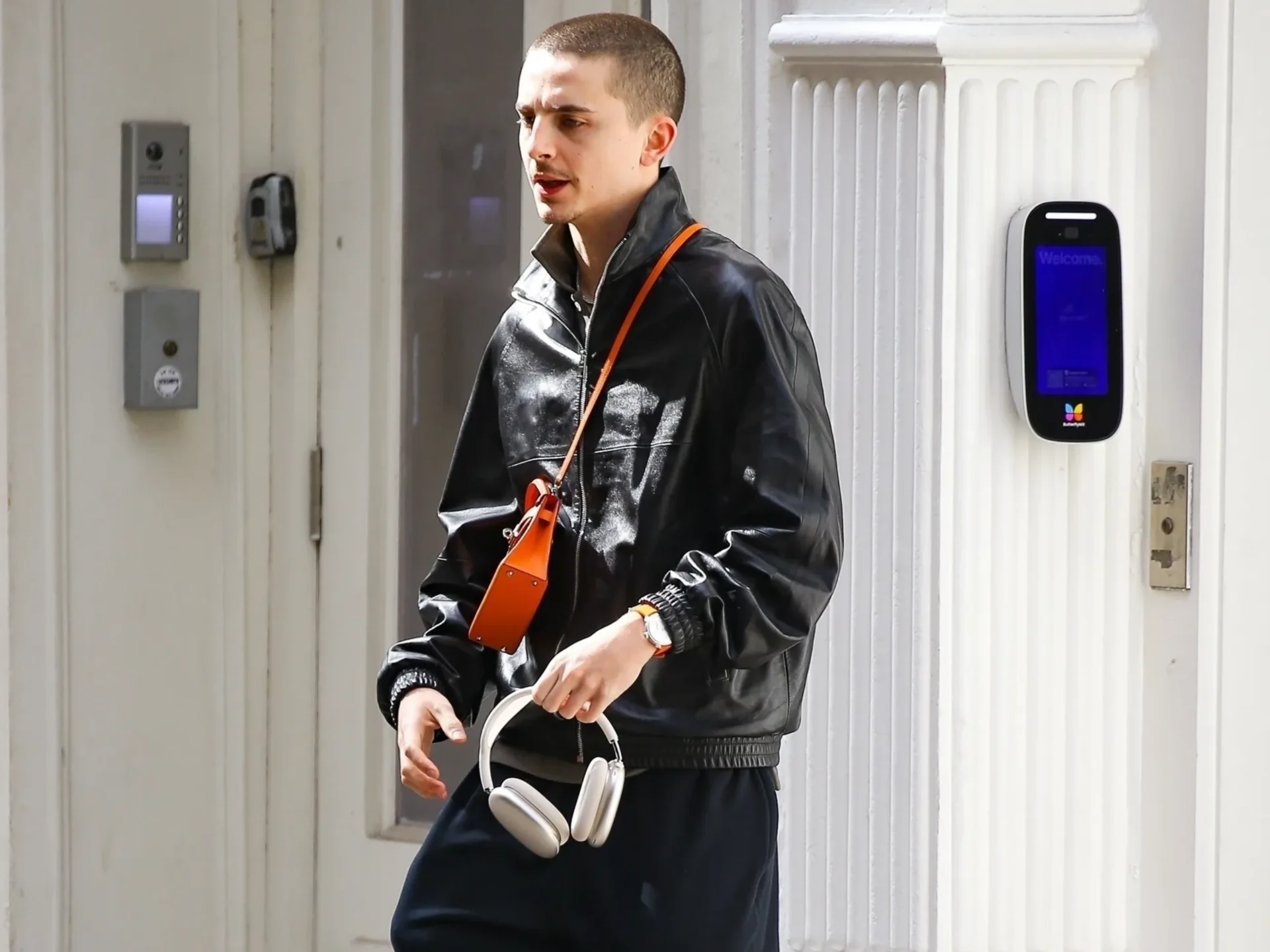 TIMOTHEE CHALAMET MINI KELLY