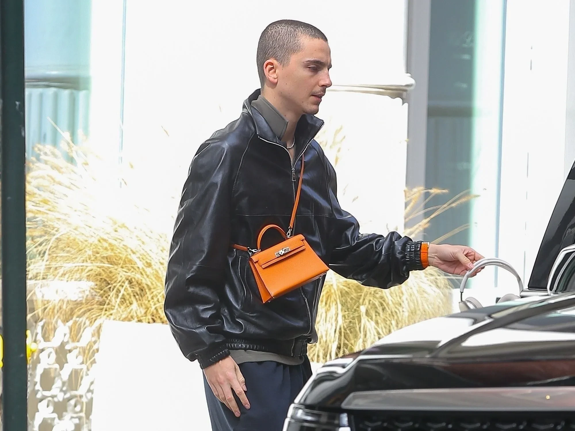 TIMOTHEE CHALAMET MINI KELLY