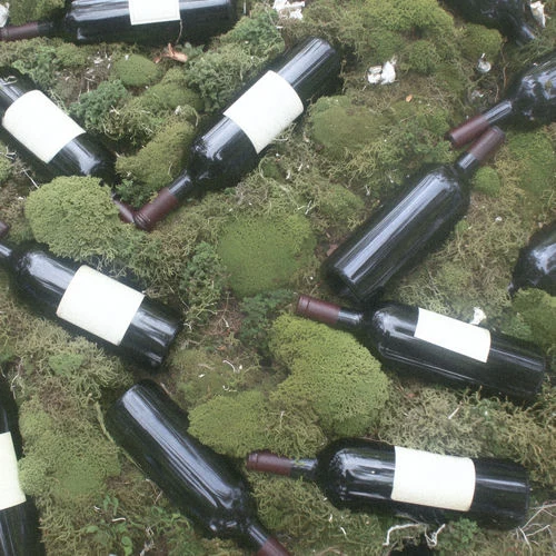 Assorted wine bottles with blank white labels scattered on green moss outdoors.