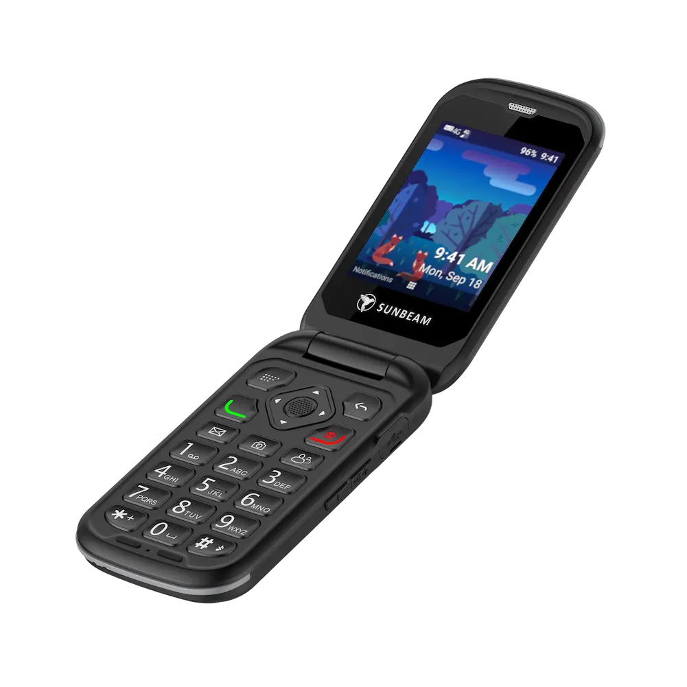 SUNBEAM F1 PRO DUMBPHONE