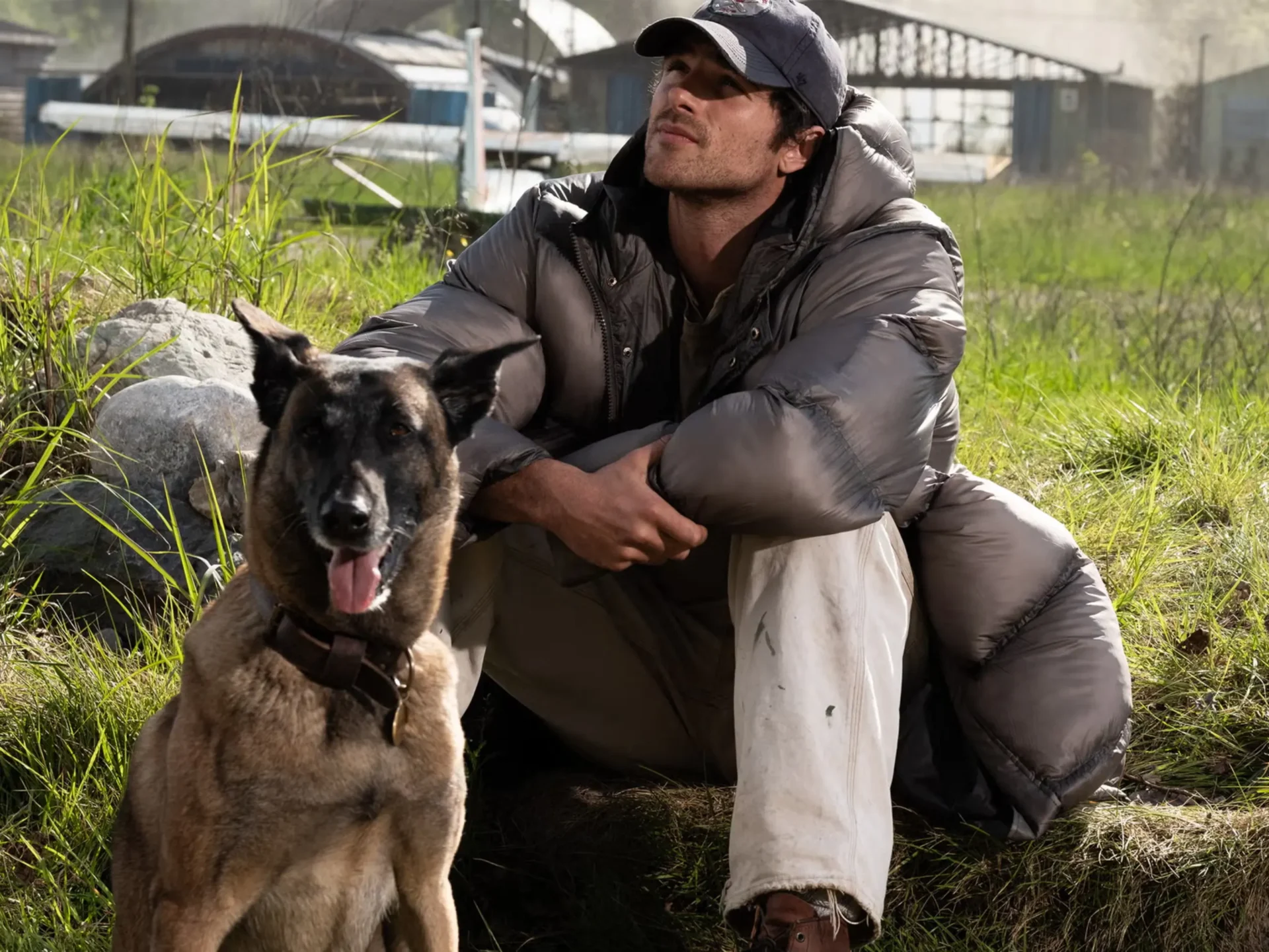 jacob elordi the dog stars